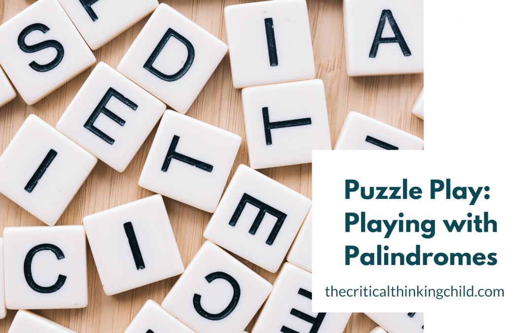 Puzzle Play: Playing with Palindromes